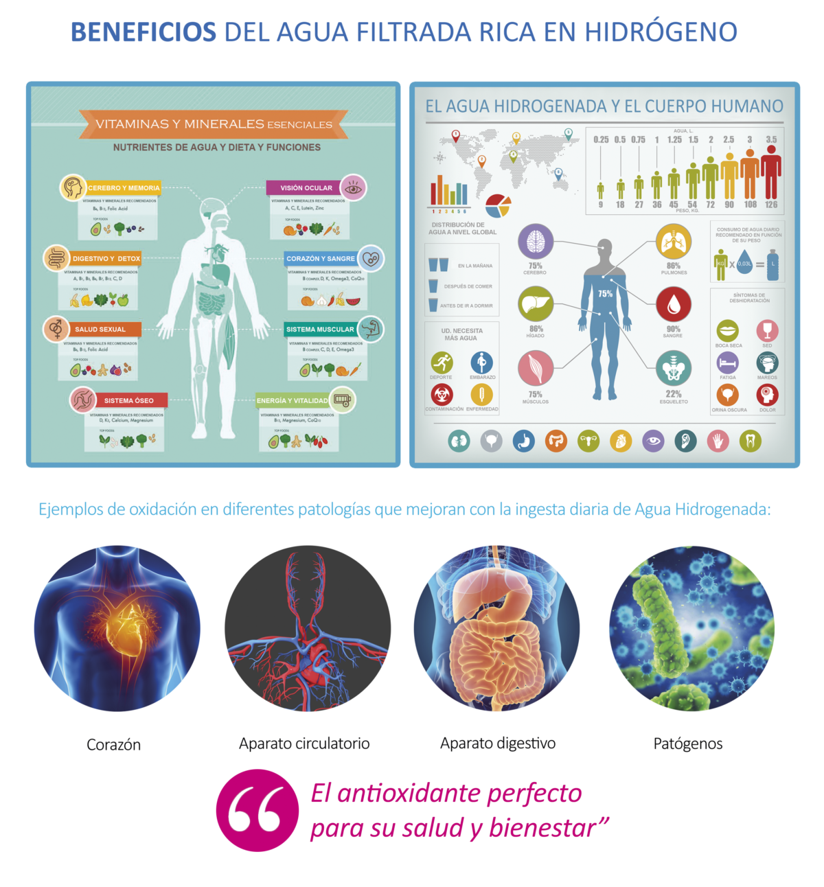 BIOPURE WATER - Imagen 2